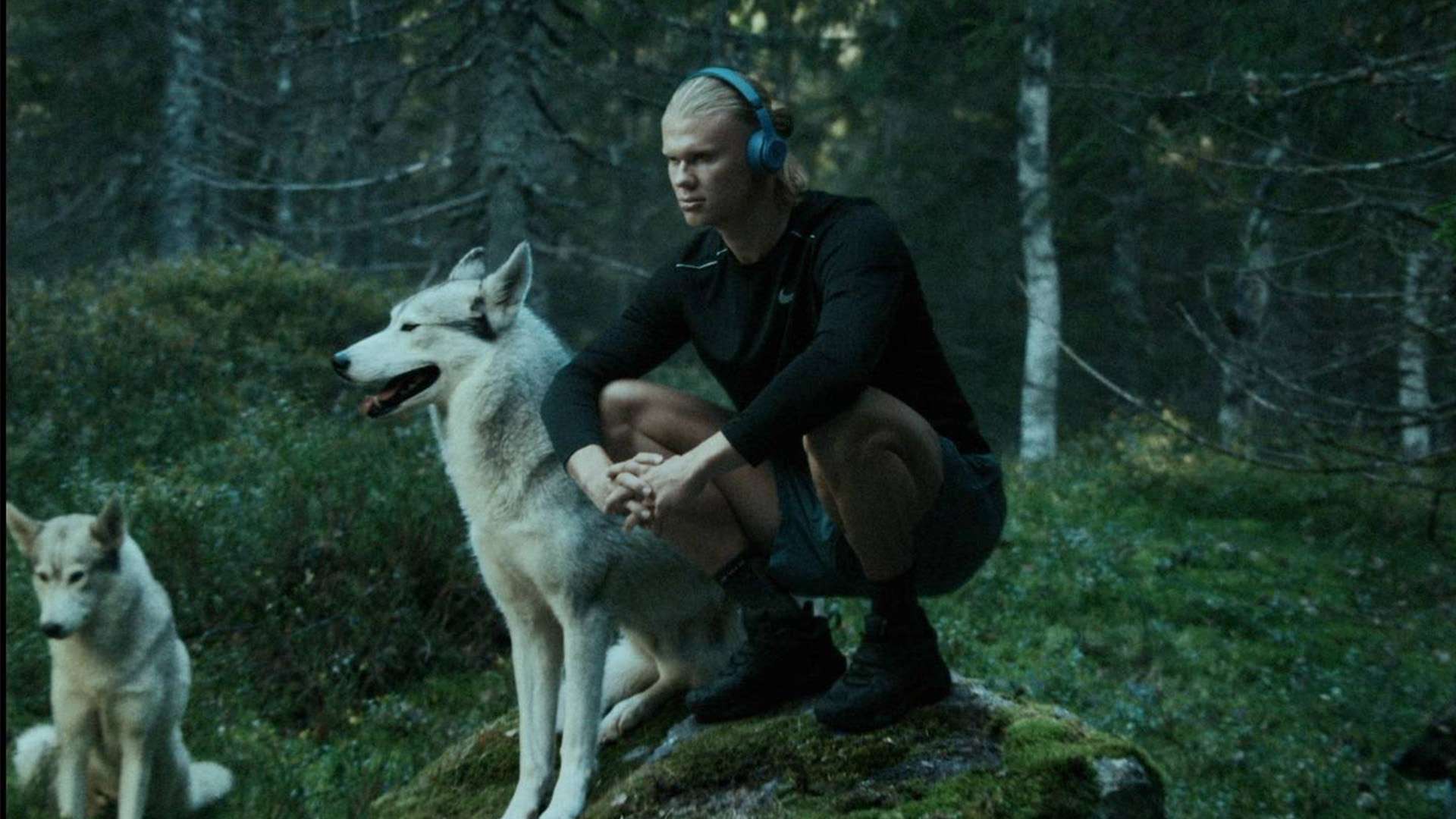 会面背景 会面背景